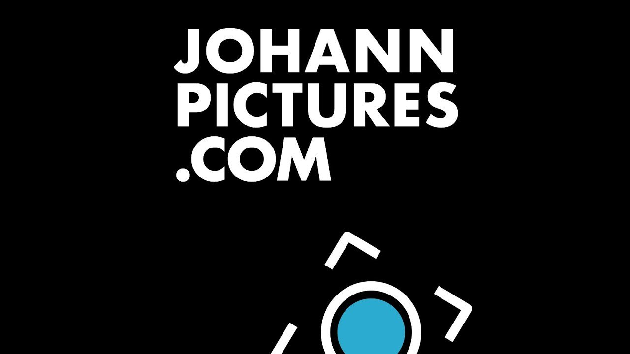 Video-Vorschau